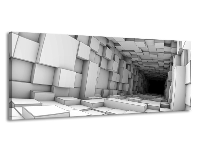 Glas schilderij Art | Grijs, Zwart | 145x58cm 1Luik