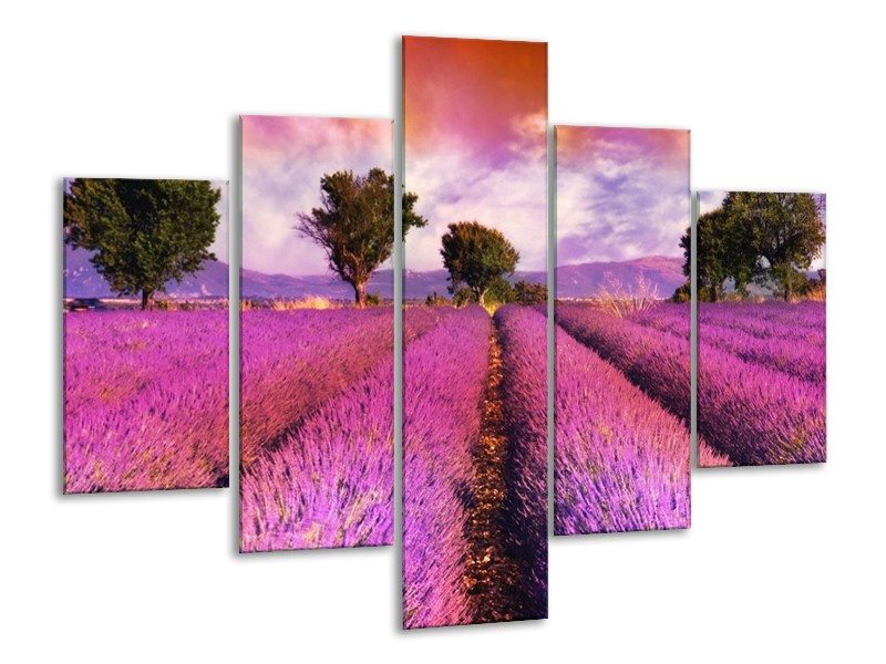 Canvas schilderij Landschap | Roze, Oranje, Grijs | 100x70cm 5Luik