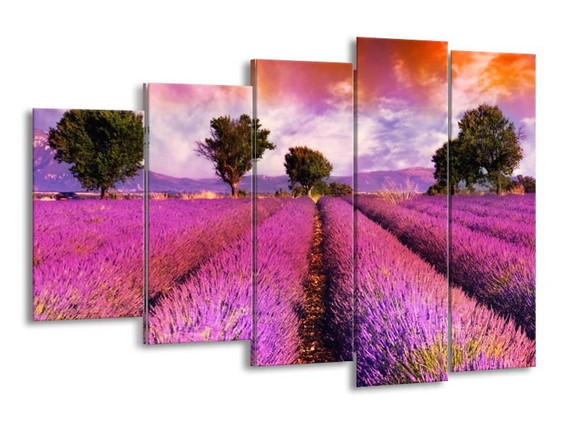Canvas schilderij Landschap | Roze, Oranje, Grijs | 150x100cm 5Luik