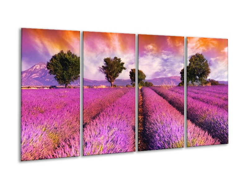Canvas schilderij Landschap | Roze, Oranje, Grijs | 160x80cm 4Luik