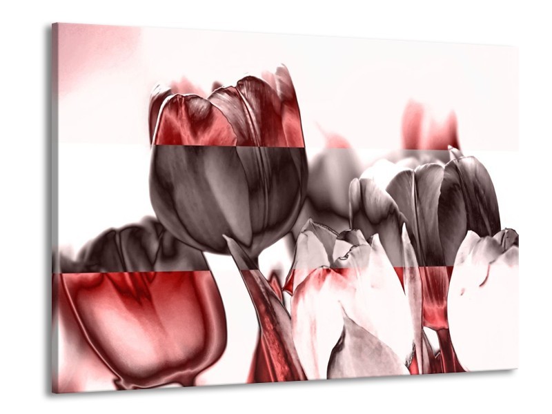 Glas schilderij Tulp | Rood, Wit, Bruin | 100x70cm 1Luik