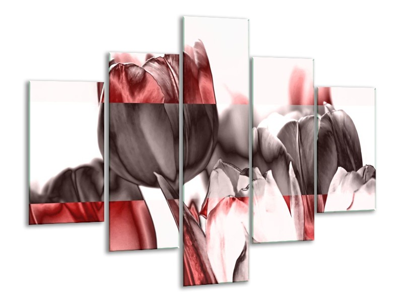 Glas schilderij Tulp | Rood, Wit, Bruin | 100x70cm 5Luik