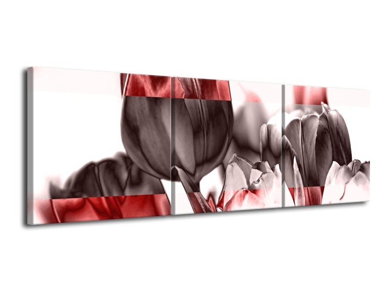 Canvas schilderij Tulp | Rood, Wit, Bruin | 120x40cm 3Luik