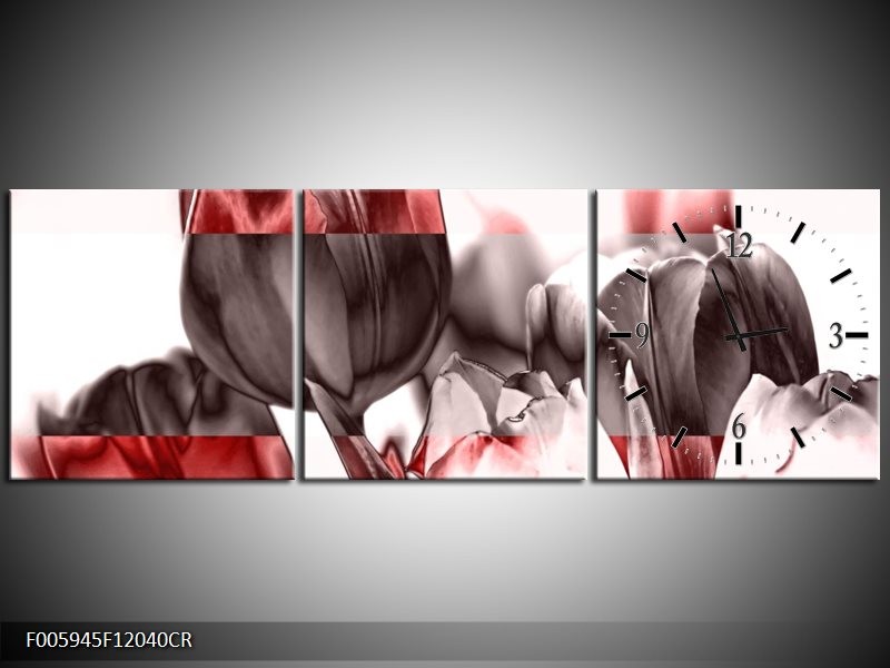 Klok schilderij Tulp | Rood, Wit, Bruin | 120x40cm 3Luik