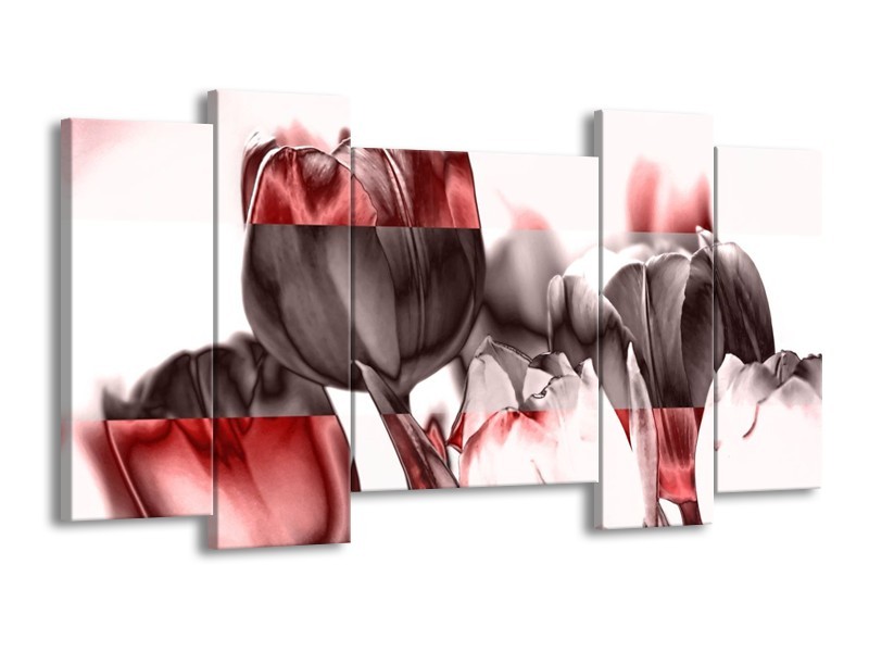 Canvas schilderij Tulp | Rood, Wit, Bruin | 120x65 5Luik