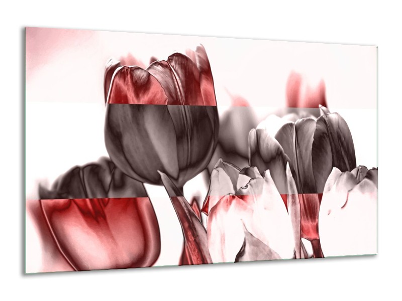 Glas schilderij Tulp | Rood, Wit, Bruin | 120x70cm 1Luik