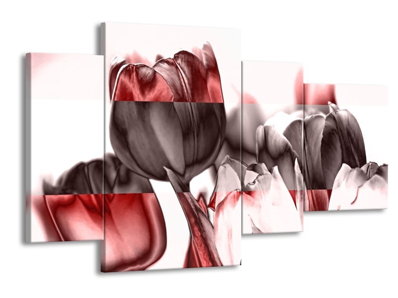 Glas schilderij Tulp | Rood, Wit, Bruin | 120x75cm 4Luik