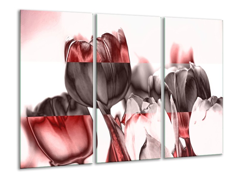 Canvas schilderij Tulp | Rood, Wit, Bruin | 120x80cm 3Luik