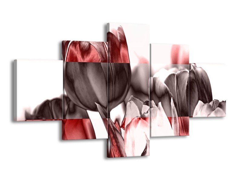 Canvas schilderij Tulp | Rood, Wit, Bruin | 125x70cm 5Luik