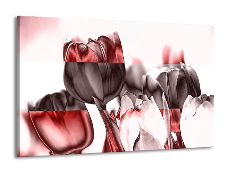 Glas schilderij Tulp | Rood, Wit, Bruin | 140x90cm 1Luik