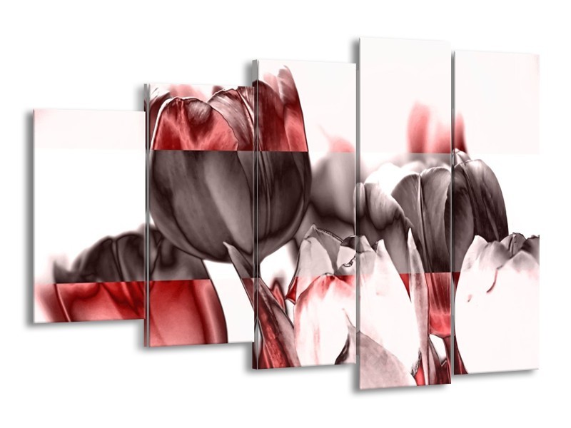 Glas schilderij Tulp | Rood, Wit, Bruin | 150x100cm 5Luik