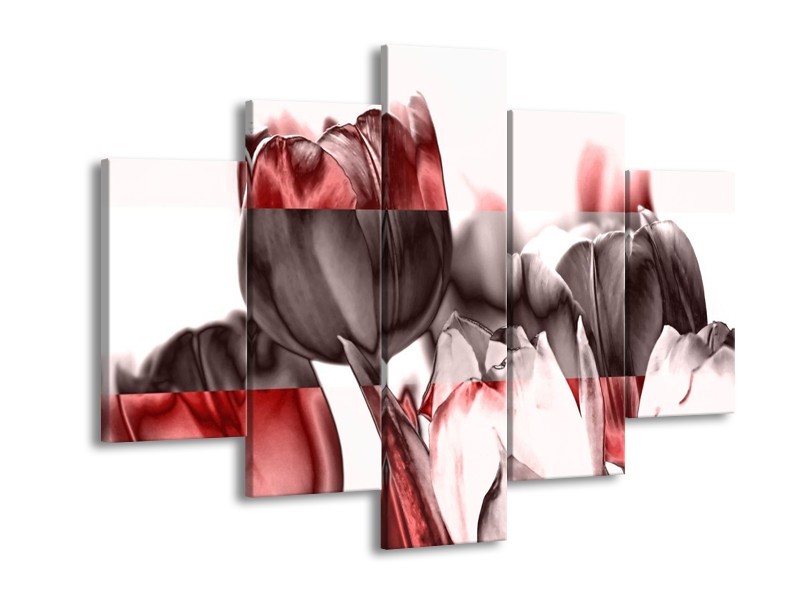 Glas schilderij Tulp | Rood, Wit, Bruin | 150x105cm 5Luik