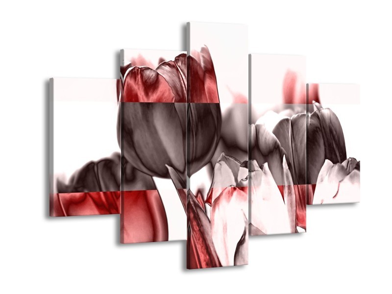 Canvas schilderij Tulp | Rood, Wit, Bruin | 150x105cm 5Luik