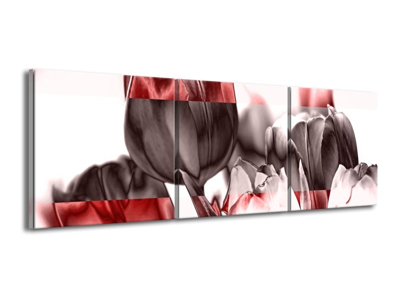 Glas schilderij Tulp | Rood, Wit, Bruin | 150x50cm 3Luik