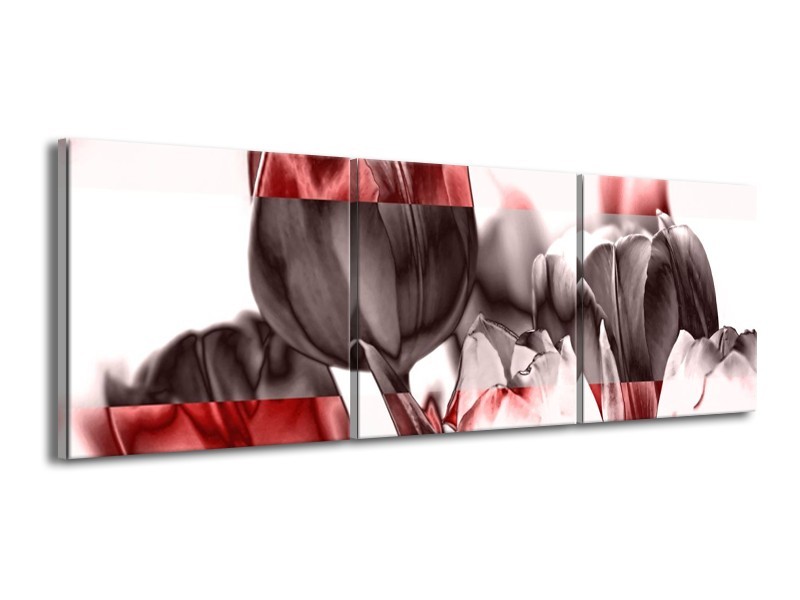 Canvas schilderij Tulp | Rood, Wit, Bruin | 150x50cm 3Luik