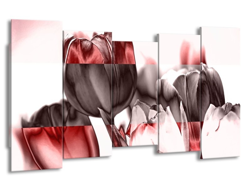 Glas schilderij Tulp | Rood, Wit, Bruin | 150x80cm 5Luik
