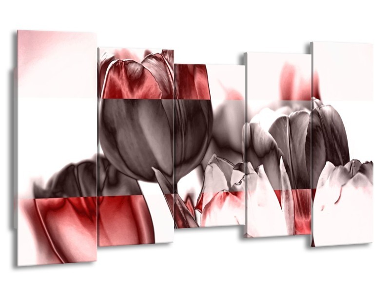 Canvas schilderij Tulp | Rood, Wit, Bruin | 150x80cm 5Luik