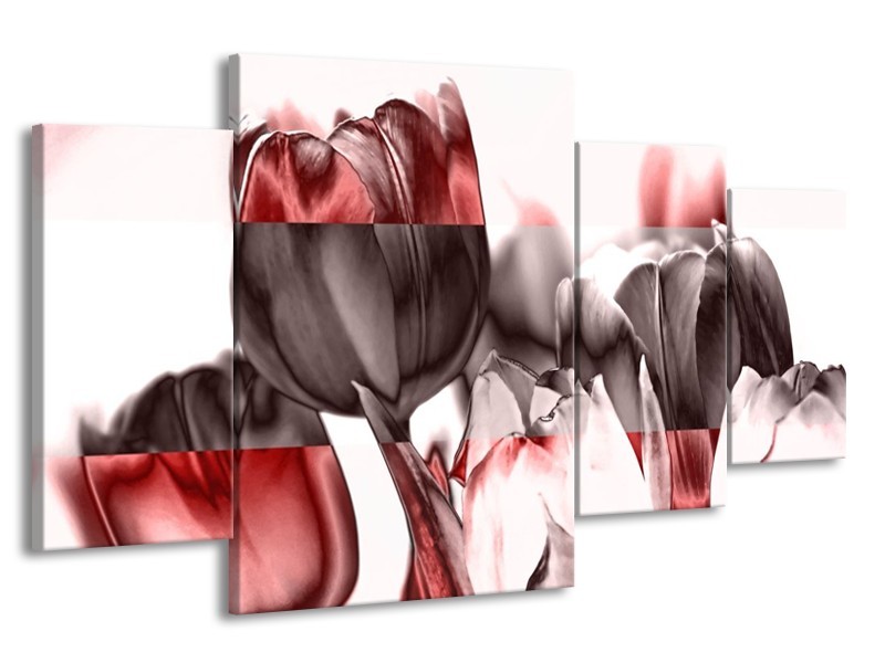 Canvas schilderij Tulp | Rood, Wit, Bruin | 160x90cm 4Luik