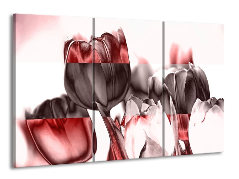 Glas schilderij Tulp | Rood, Wit, Bruin | 165x100cm 3Luik