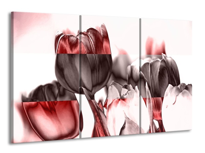 Canvas schilderij Tulp | Rood, Wit, Bruin | 165x100cm 3Luik