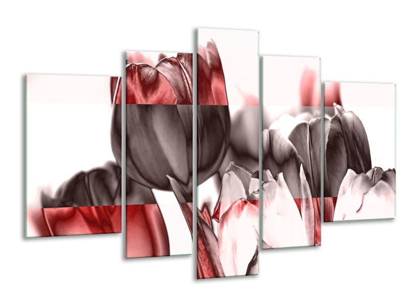 Canvas schilderij Tulp | Rood, Wit, Bruin | 170x100cm 5Luik