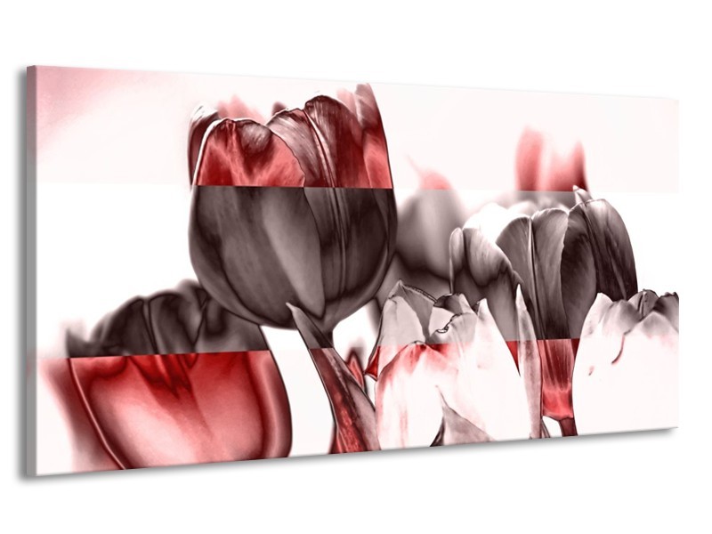 Canvas schilderij Tulp | Rood, Wit, Bruin | 170x90cm 1Luik