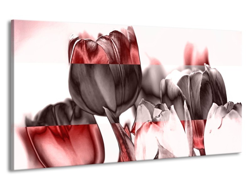 Canvas schilderij Tulp | Rood, Wit, Bruin | 190x100cm 1Luik