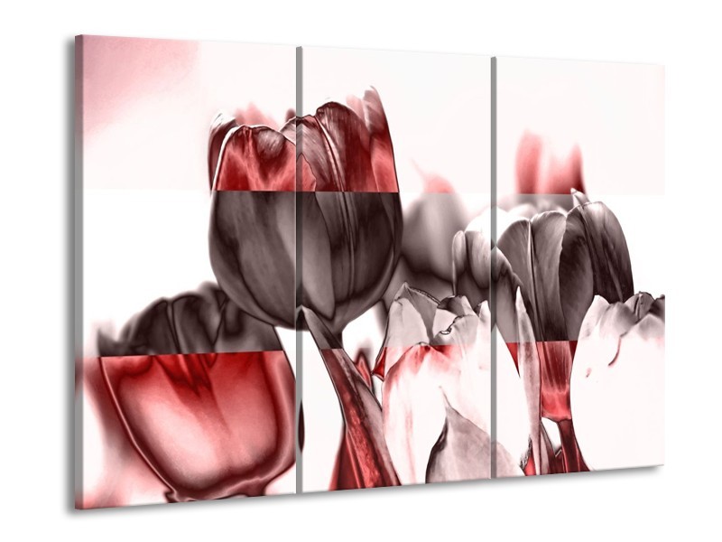 Glas schilderij Tulp | Rood, Wit, Bruin | 90x60cm 3Luik