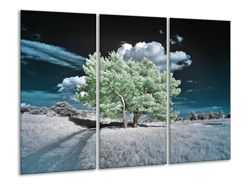 Canvas schilderij Boom | Groen, Blauw, Grijs | 120x80cm 3Luik