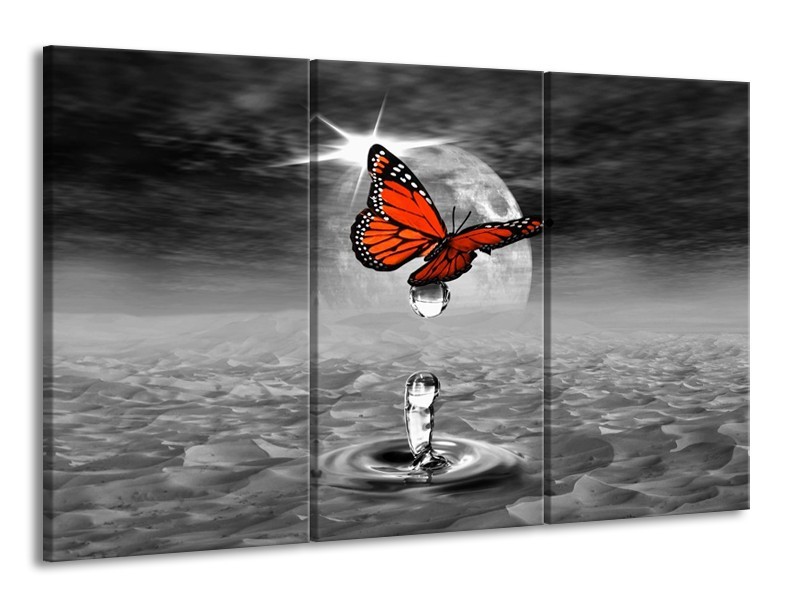 Canvas schilderij Vlinder | Rood, Grijs, Wit | 165x100cm 3Luik
