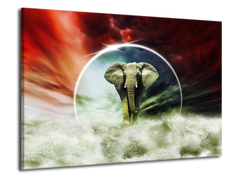 Canvas schilderij Olifant | Rood, Blauw, Wit | 70x50cm 1Luik