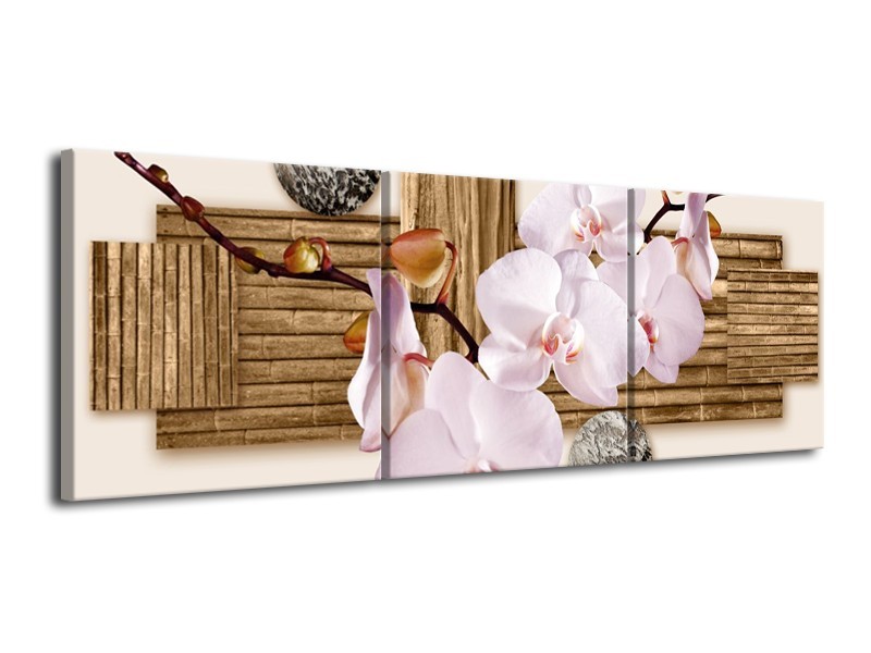 Canvas schilderij Orchidee | Roze, Grijs, Bruin | 120x40cm 3Luik