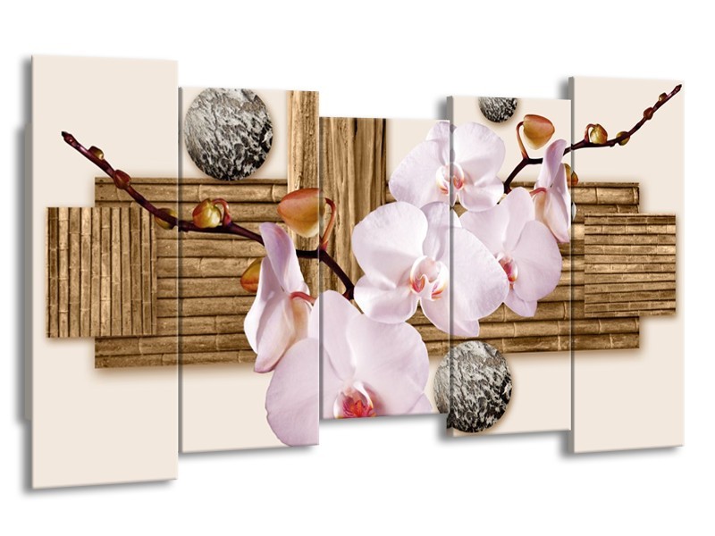 Canvas schilderij Orchidee | Roze, Grijs, Bruin | 150x80cm 5Luik