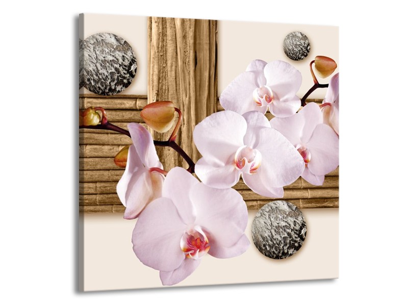 Canvas schilderij Orchidee | Roze, Grijs, Bruin | 50x50cm 1Luik