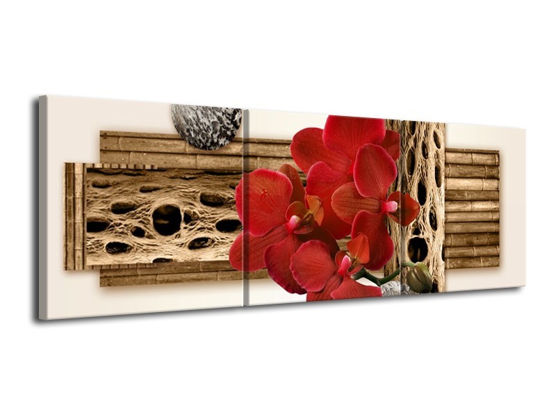 Canvas schilderij Orchidee | Rood, Bruin, Wit | 120x40cm 3Luik