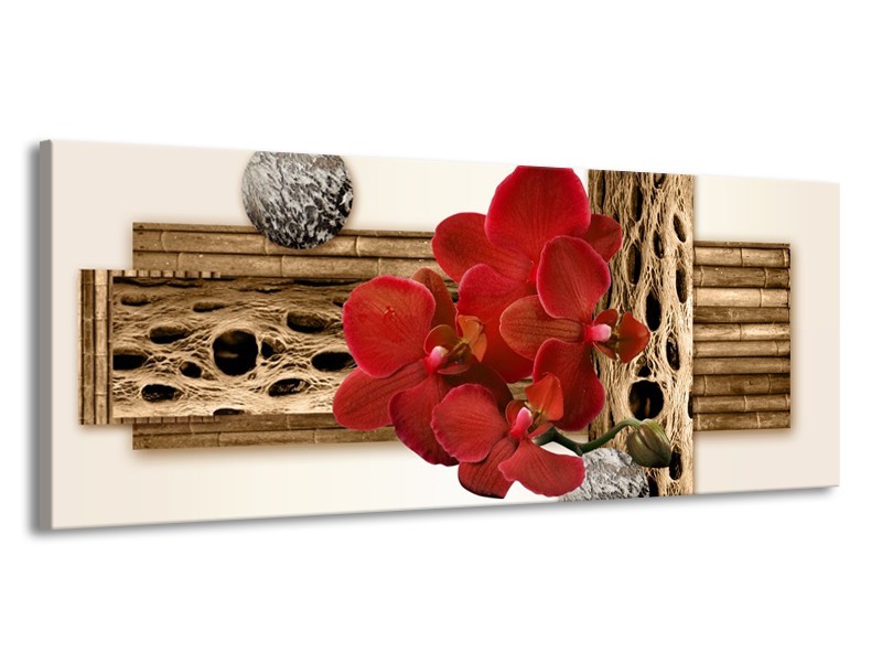 Canvas schilderij Orchidee | Rood, Bruin, Wit | 145x58cm 1Luik