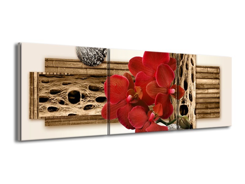 Canvas schilderij Orchidee | Rood, Bruin, Wit | 150x50cm 3Luik