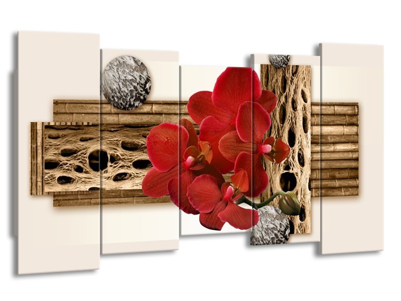 Canvas schilderij Orchidee | Rood, Bruin, Wit | 150x80cm 5Luik