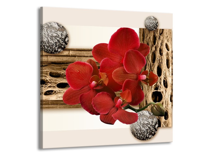 Canvas schilderij Orchidee | Rood, Bruin, Wit | 50x50cm 1Luik