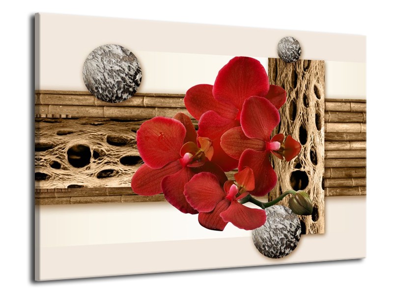 Canvas schilderij Orchidee | Rood, Bruin, Wit | 70x50cm 1Luik