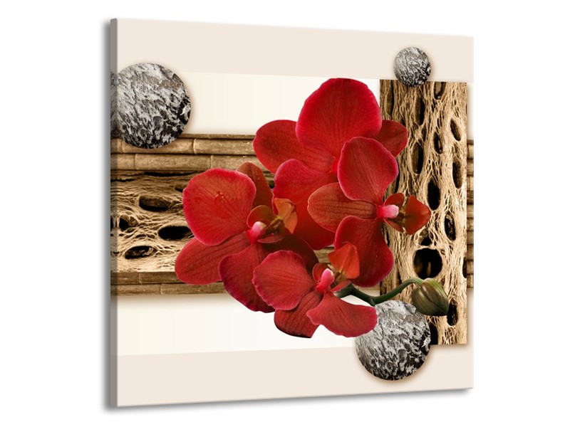 Glas schilderij Orchidee | Rood, Bruin, Wit | 70x70cm 1Luik