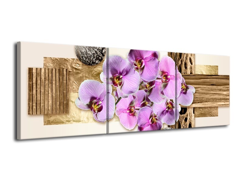 Canvas schilderij Orchidee | Roze, Wit, Bruin | 120x40cm 3Luik