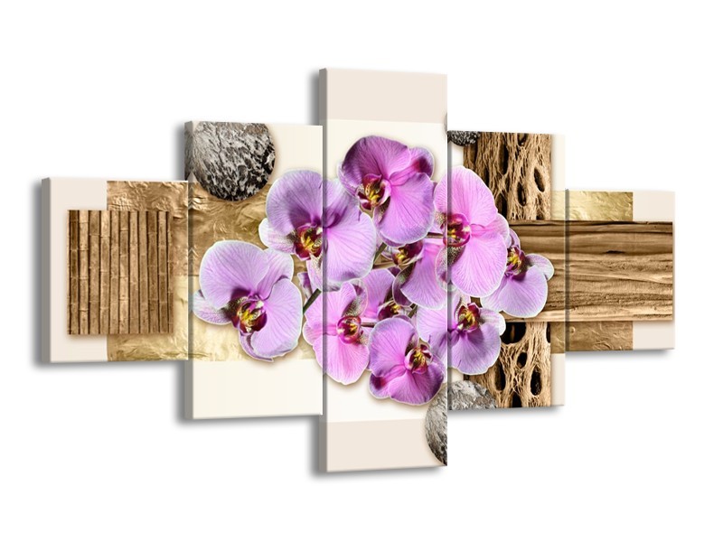 Canvas schilderij Orchidee | Roze, Wit, Bruin | 125x70cm 5Luik