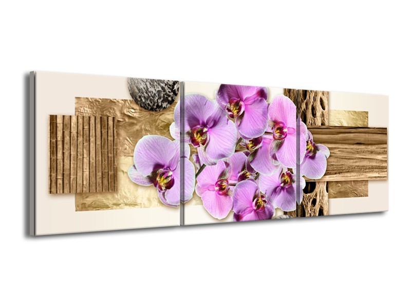 Canvas schilderij Orchidee | Roze, Wit, Bruin | 150x50cm 3Luik