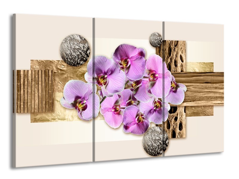 Canvas schilderij Orchidee | Roze, Wit, Bruin | 165x100cm 3Luik