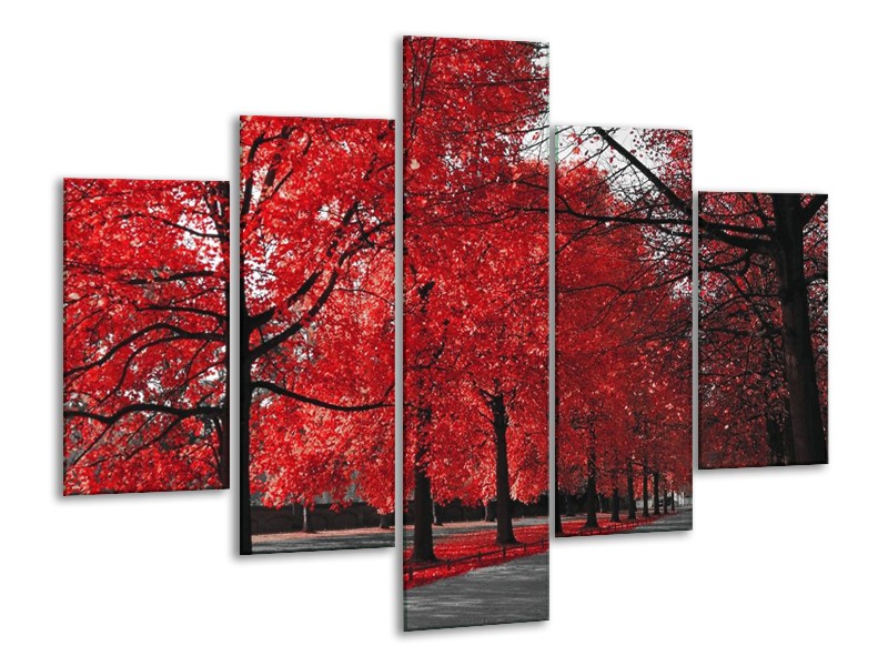 Canvas schilderij Bomen | Rood, Grijs, Wit | 100x70cm 5Luik