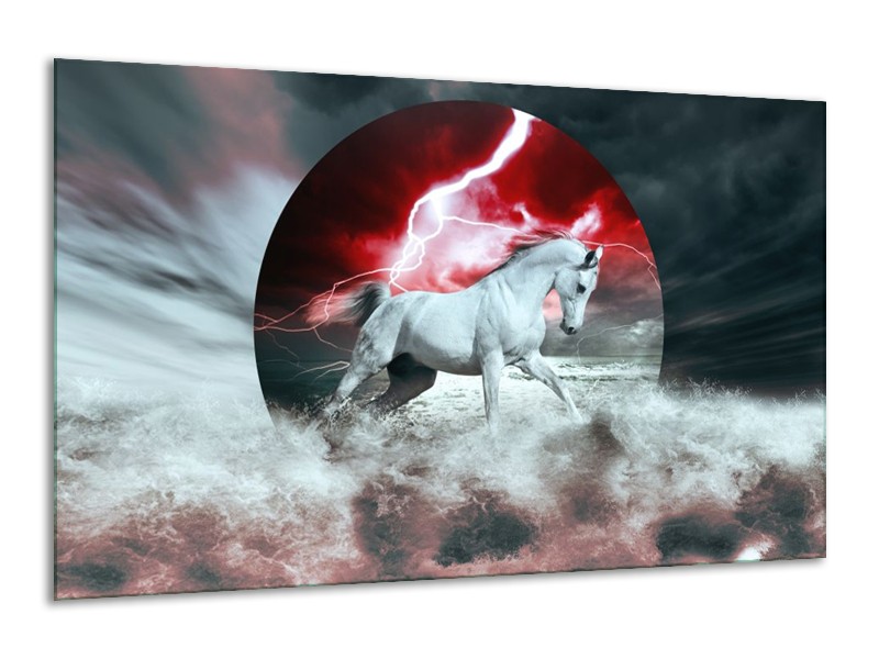 Canvas schilderij Paard | Rood, Grijs, Wit | 120x70cm 1Luik