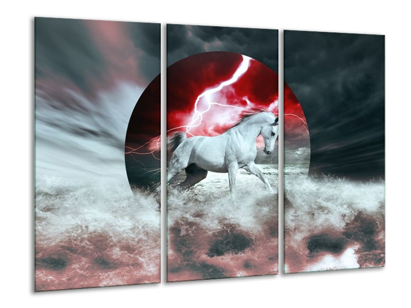 Canvas schilderij Paard | Rood, Grijs, Wit | 120x80cm 3Luik