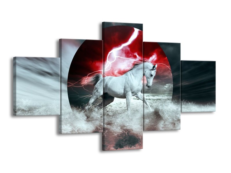 Canvas schilderij Paard | Rood, Grijs, Wit | 125x70cm 5Luik
