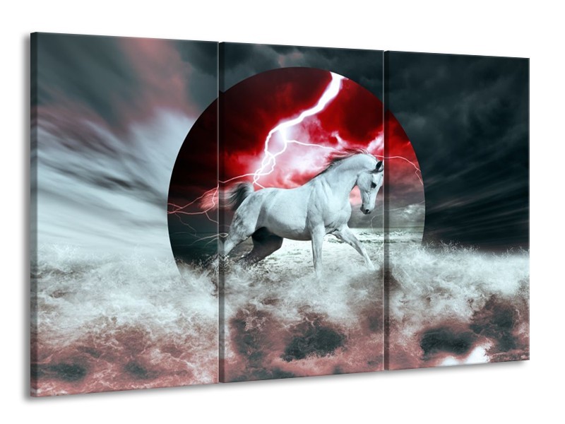 Glas schilderij Paard | Rood, Grijs, Wit | 165x100cm 3Luik